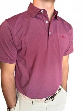 NEW COASTAL COTTON performance stripe polo in mineral